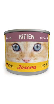 Kitten Chicken wet